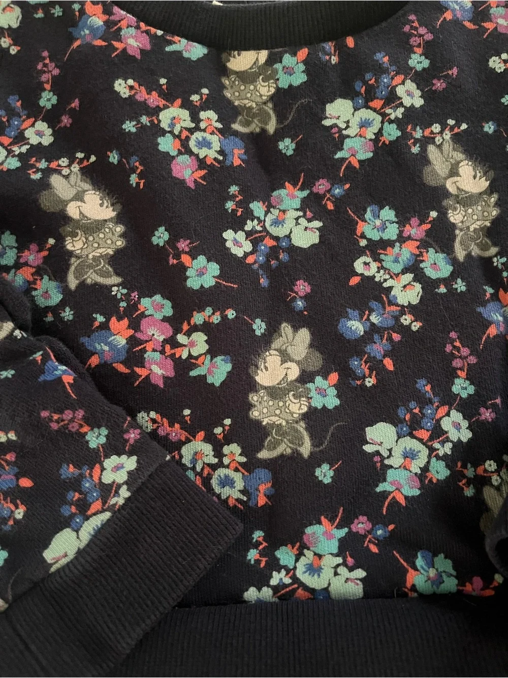 GAP Navy Sweatshirt Dress with Multicolored Floral Print